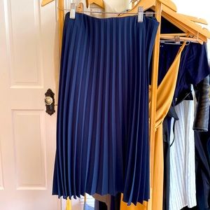 Everlane The Pleated Skirt Navy Midi